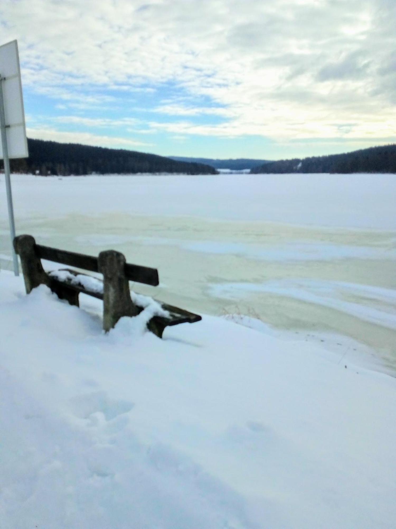 Apartman Leo Nr. 8 Lipno Nad Vltavou Exteriér fotografie